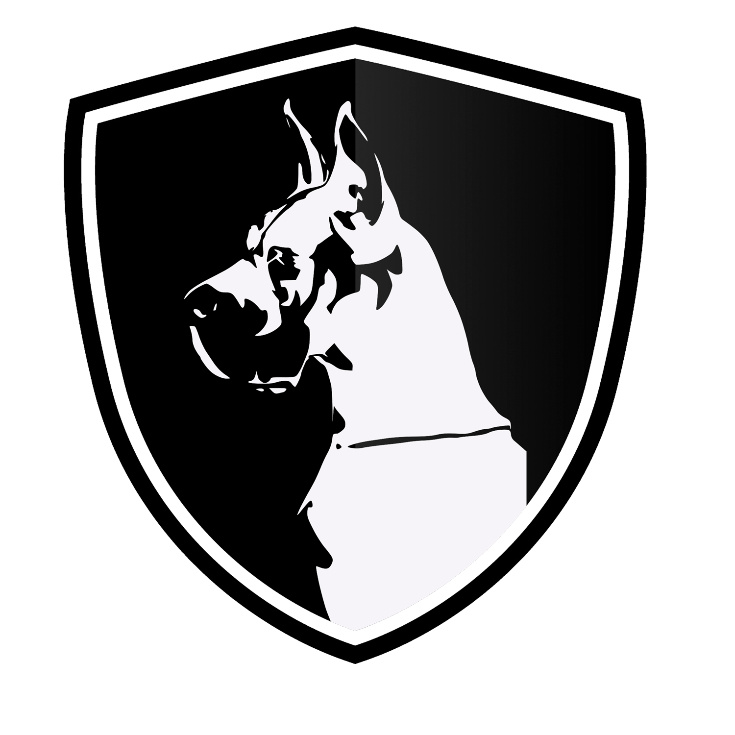 Logo PDM